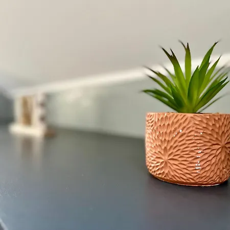 White&grey 3br Proche Centre Et Gare Appartement