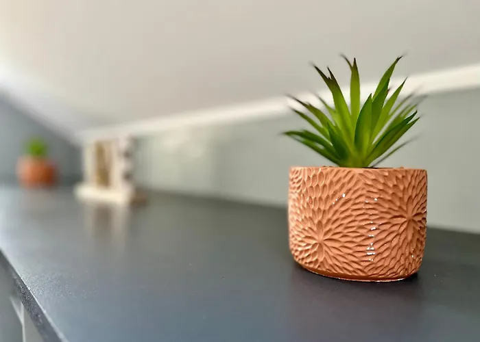 White&grey 3br Proche Centre Et Gare דירה